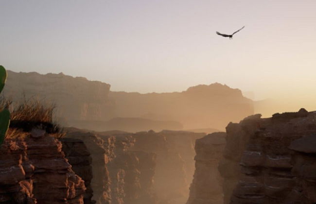 Grand Canyon IMAX Experience - Photo 8