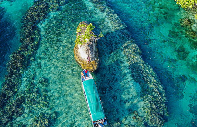 Isla Escudo de Veraguas Day Trip - Foto 1