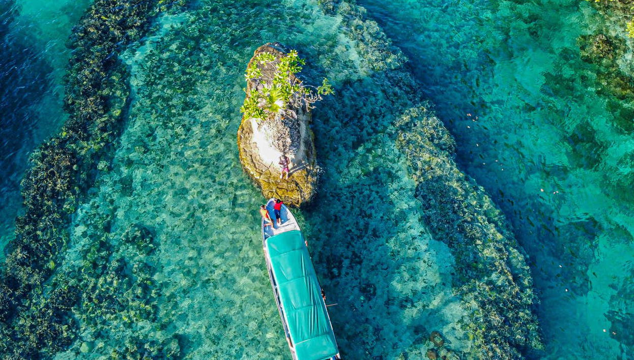 Isla Escudo de Veraguas Day Trip - Foto 1