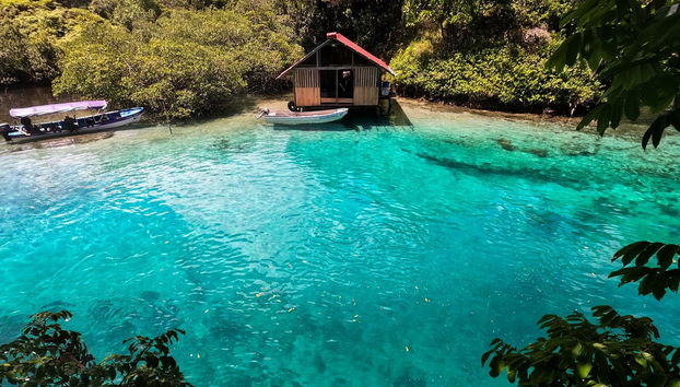 Isla Escudo de Veraguas Day Trip - Foto 2