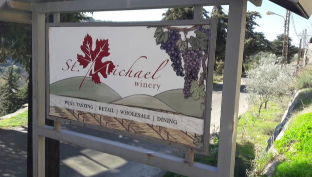 Excursion à Deir el Qamar et Beit ed-Dine + Visite d'un domaine viticole - Photo 5