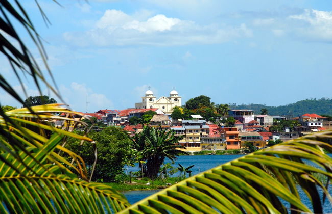 Traslado a Flores - Foto 6