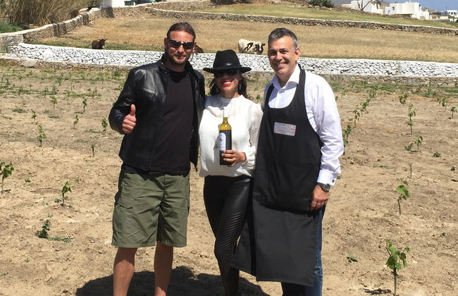 Cata de vinos en una granja de Mykonos - Foto 8