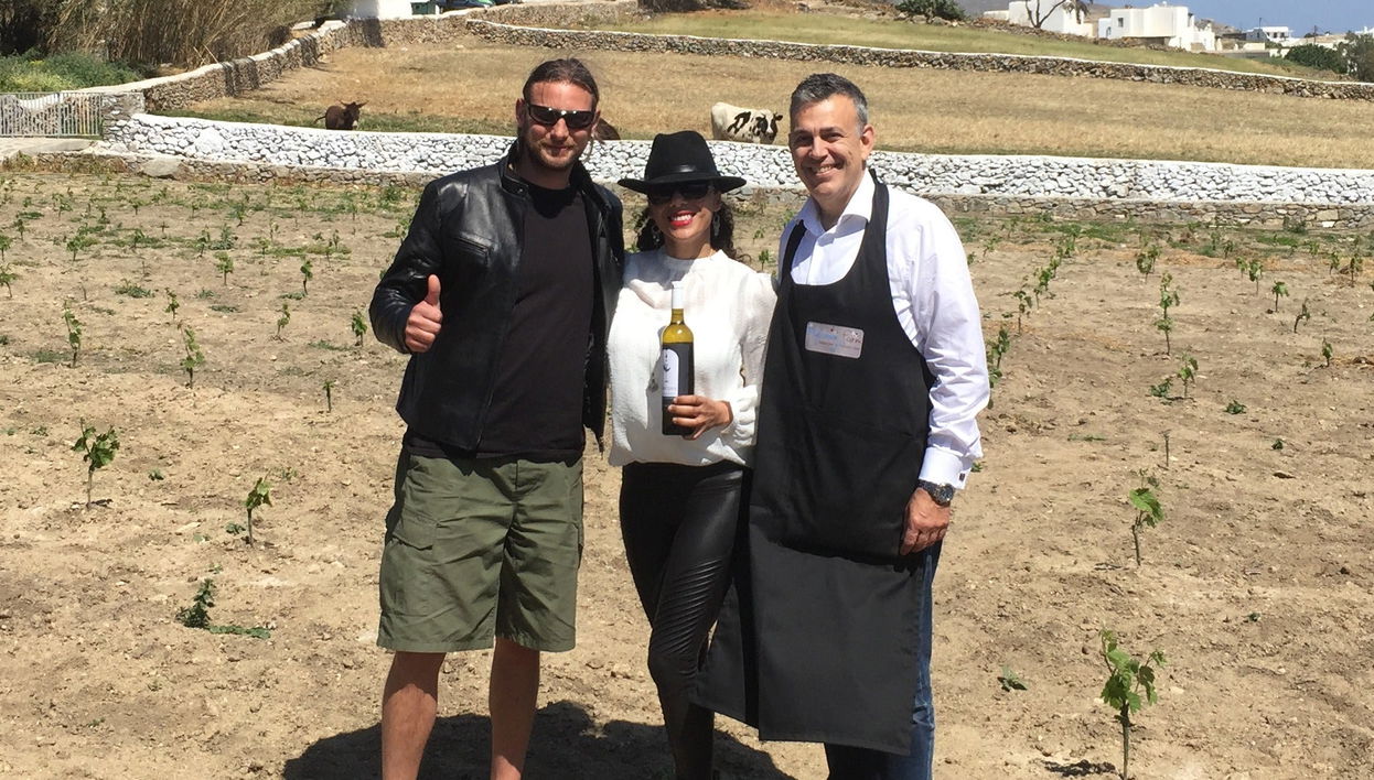 Wine Tasting at a Greek Farm in Mykonos - Foto 1