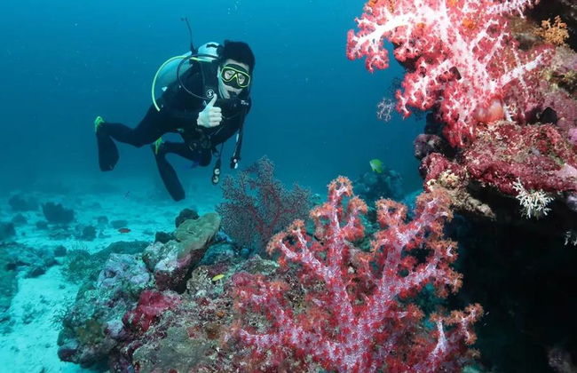 Buceo en Maithon Private Island - Excursión de medio día para grupos pequeños - Foto 2