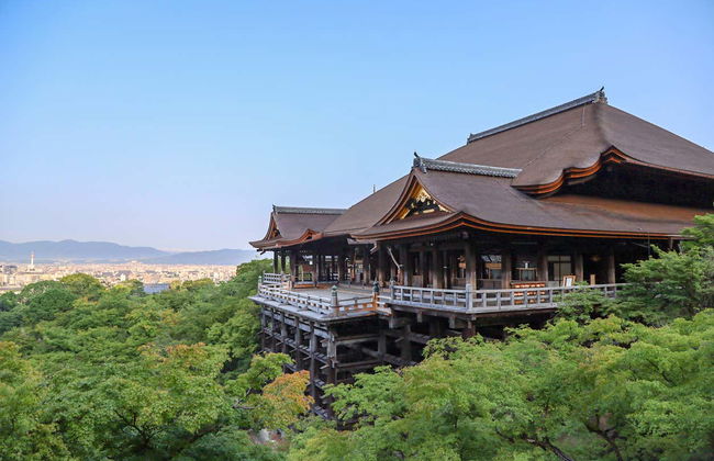 Tour de Kioto al completo con entradas - Foto 5