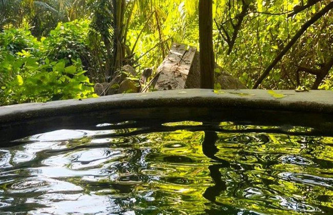 Uma aventura a cavalo nas piscinas de águas termais - Tour de meio dia - Foto 5