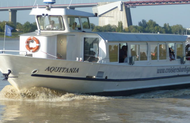 Passeio de barco pelo rio Garona - Foto 13