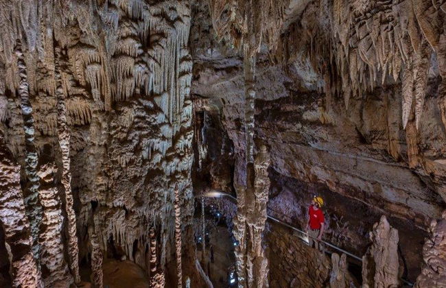 Expedición Descubrimiento a las Cavernas Natural Bridge - Foto 6