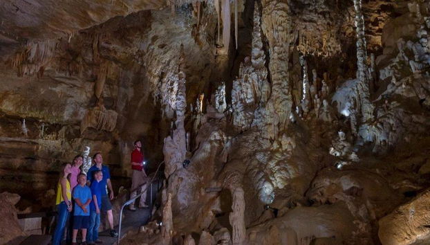 Natural Bridge Caverns Discovery Tour - Photo 4