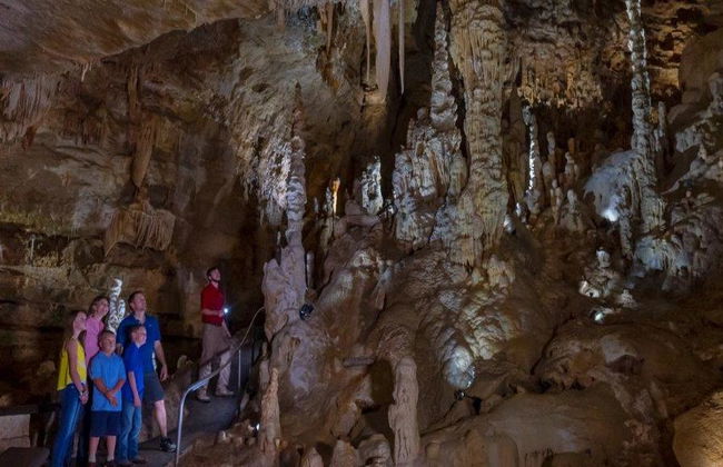 Natural Bridge Caverns Discovery Tour - Photo 4