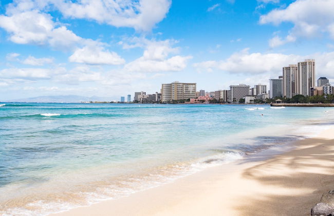Visite guidée dans Waikiki - Photo 2