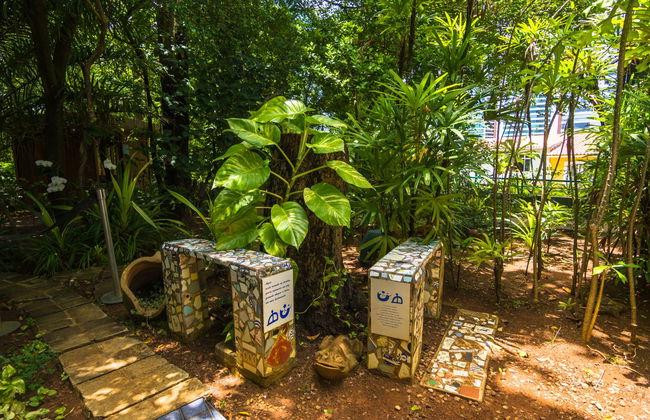 Bahia Culture Tour: Jorge Amado's House + Carybé & Pierre Verger Spaces - Photo 6