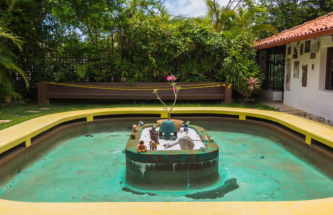 Tour pela Casa de Jorge Amado + Espaços Carybé e Verger - Foto 4