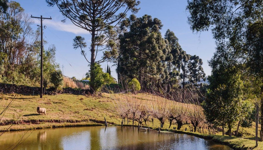 Tour degli scenari de Il Quartetto