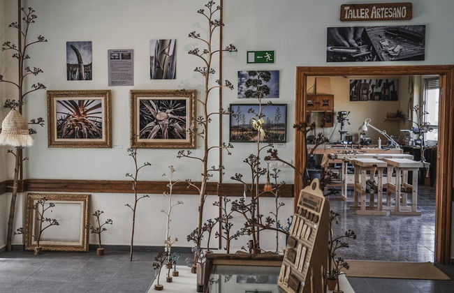 Visita al Centro Artesano de las Pitas - Foto 4