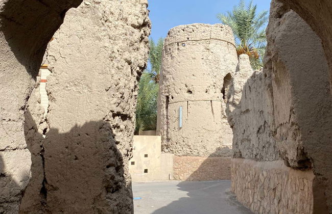 Al Aqur Vintage Buggy Tour - Foto 2