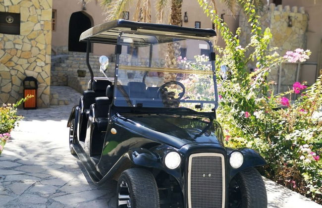 Al Aqur Vintage Buggy Tour - Photo 4