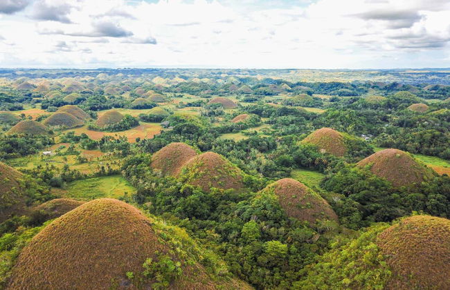 Excursión a las Colinas de Chocolate - Foto 1