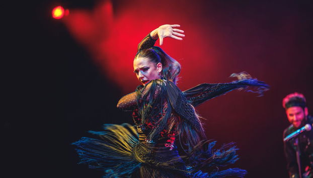 Entrada para el espectáculo WAH - Foto 5