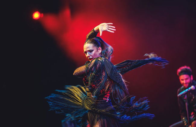 Entrada para el espectáculo WAH - Foto 5