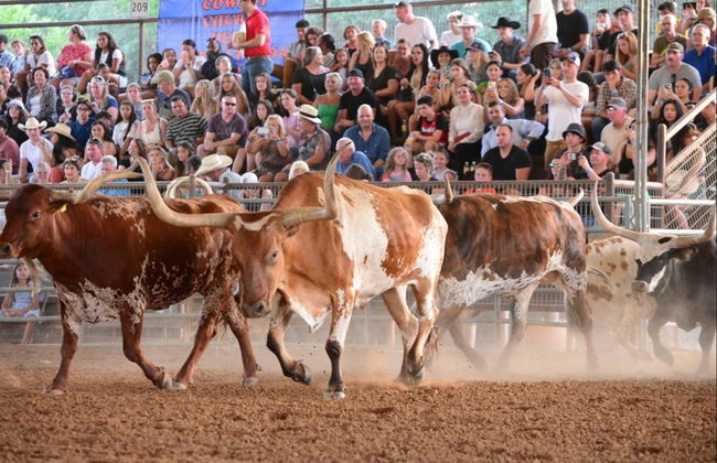 Biglietti per un rodeo in Texas - Foto 4