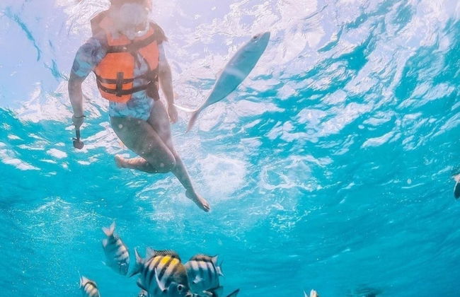 Snorkel en Los Arcos de Mismaloya - Foto 4