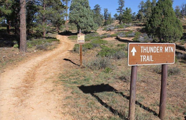 Bryce Canyon Bike Rental - Foto 2