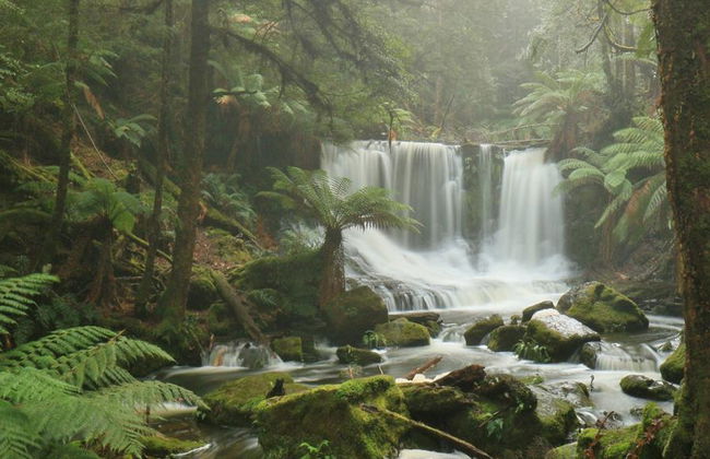 Parque Nacional Monte Field con Monte Wellington y demonios de Tasmania - Foto 3
