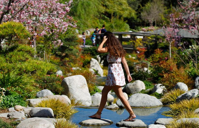 Go City All-Inclusive Pass: San Diego - Acesso a mais de 45 atracções - Foto 2