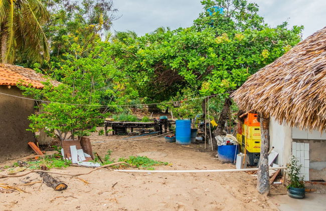 Parnaíba Delta Excursion by Boat - Photo 5