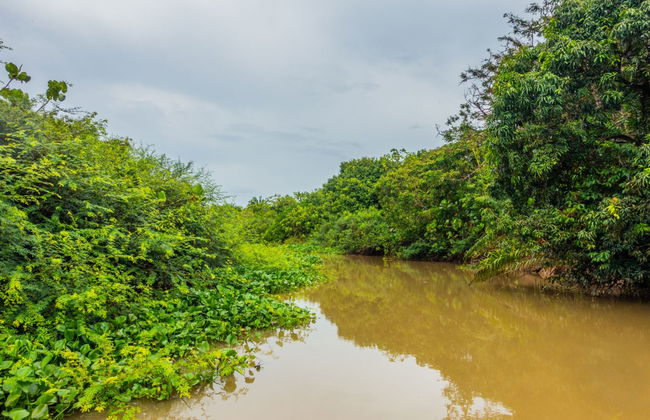 Parnaíba Delta Excursion by Boat - Photo 1