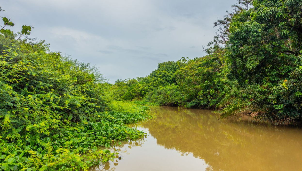 Excursion dans le delta du Parnaíba en bateau - Photo 1