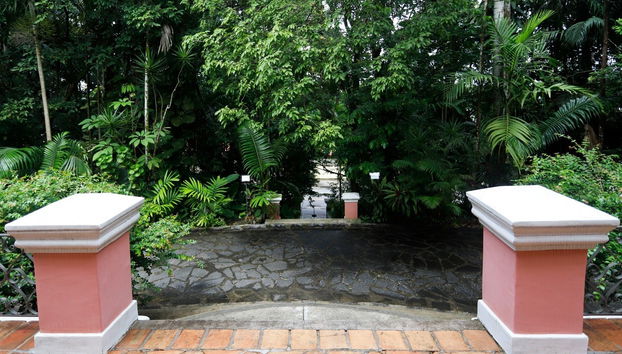 Visita guiada pela Fundação Gilberto Freyre - Foto 3