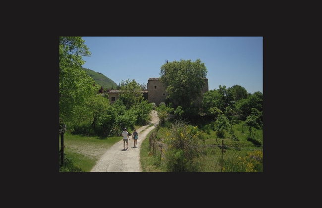 Tour pelos povoados do Parco delle Madonie + Degustação de ricota - Foto 3