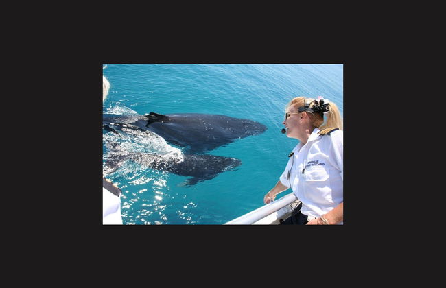 Avistamiento de ballenas en la bahía Moreton - Foto 2