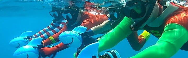 Power snorkel en Tahití - Foto 1