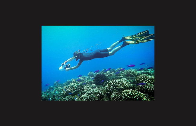 Snorkel no Taiti - Foto 4