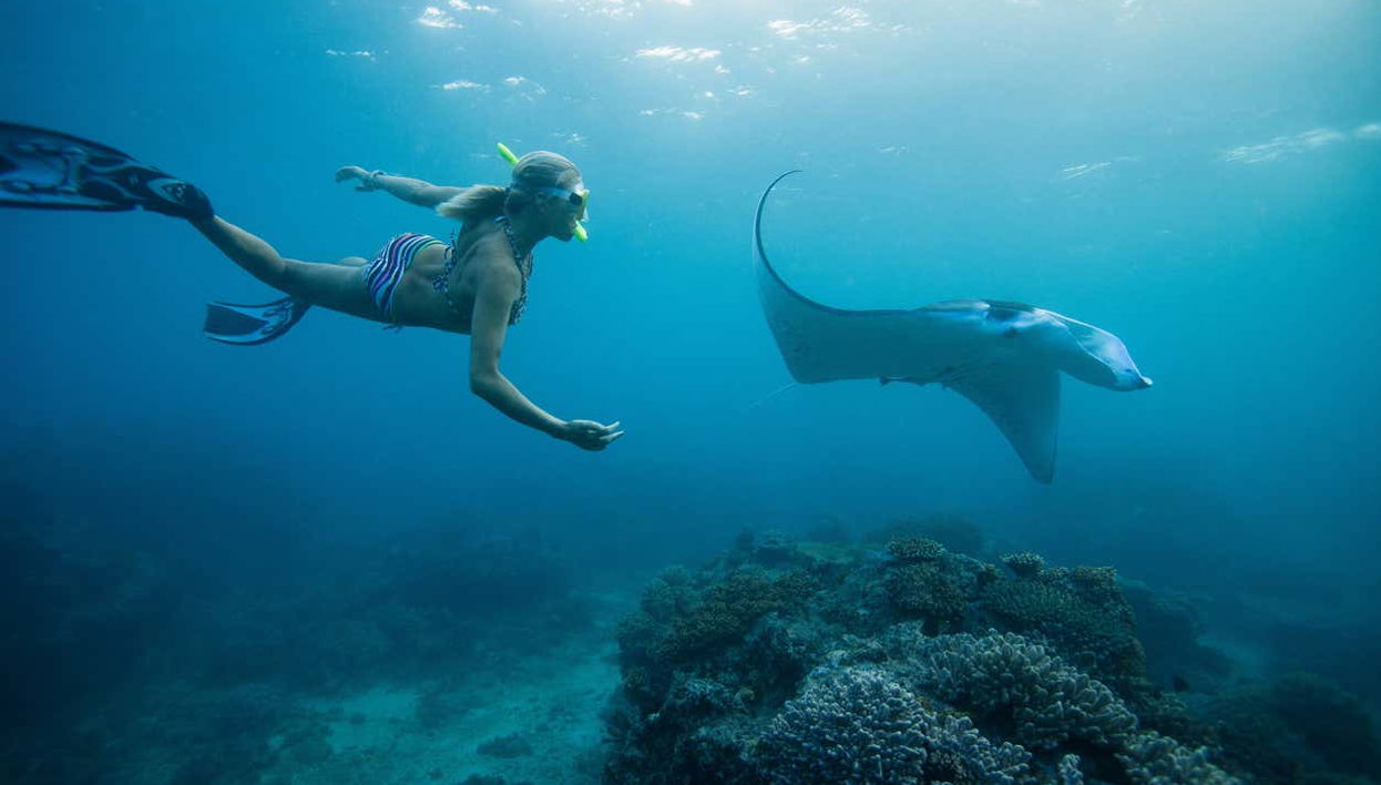 Power Snorkelling - Foto 1