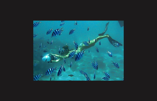 Snorkel no Taiti - Foto 5