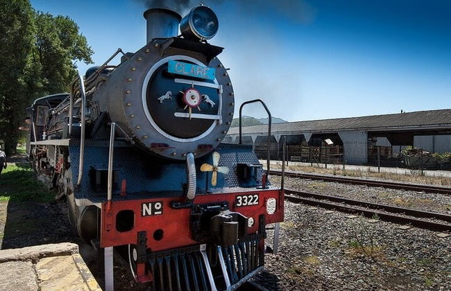 Tren de vapor al Mercado Ferroviario de Elgin - Foto 3