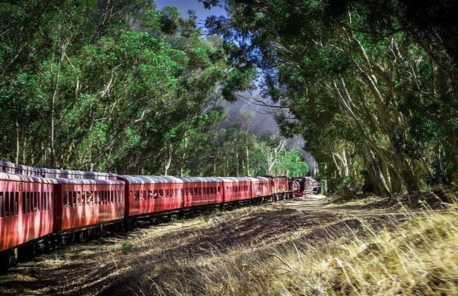 Tren de vapor al Mercado Ferroviario de Elgin - Foto 2