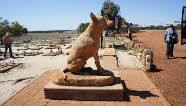 Wave Rock & York Tour - Photo 4