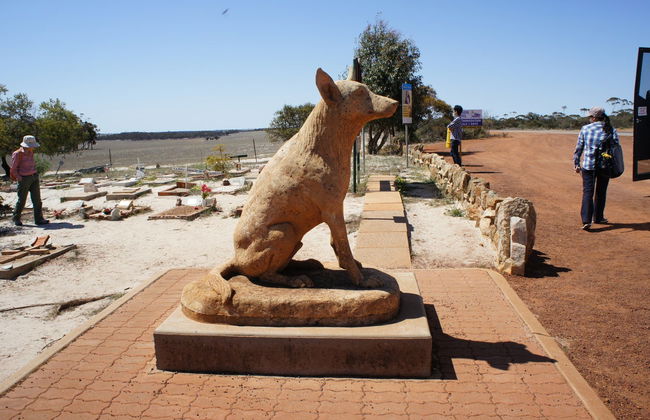 Excursion à Wave Rock et à York - Photo 4