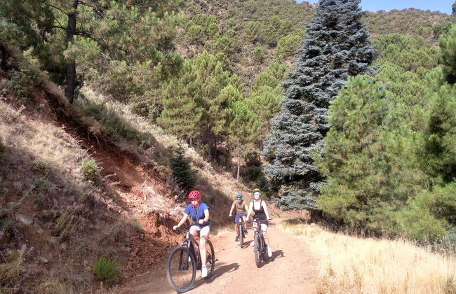 Balade à vélo électrique dans la Sierra de las Nieves - Photo 4