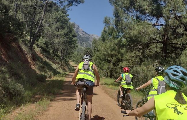 Tour en bicicleta eléctrica por la Sierra de las Nieves - Foto 3