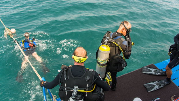 Intro to Scuba Diving in Pattaya - Foto 2