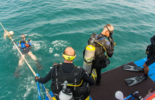 Buceo en Pattaya - Foto 2