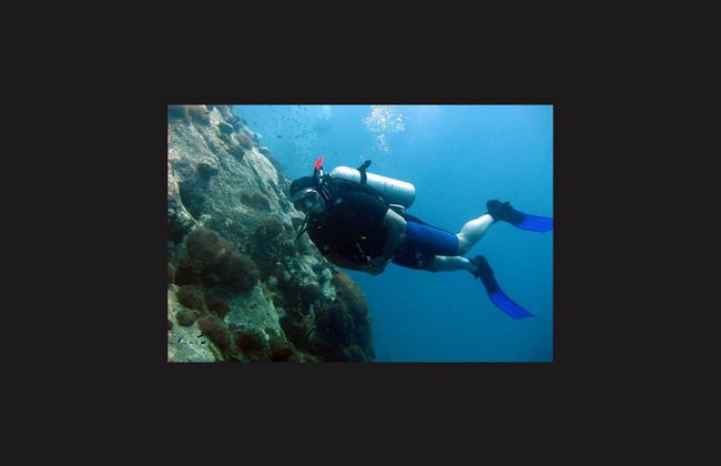 Buceo en Pattaya - Foto 7