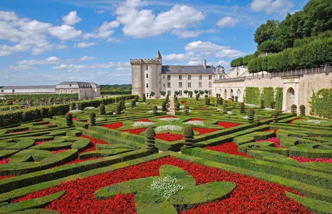 Excursión a los castillos de Villandry y Azay-le-Rideau - Foto 7